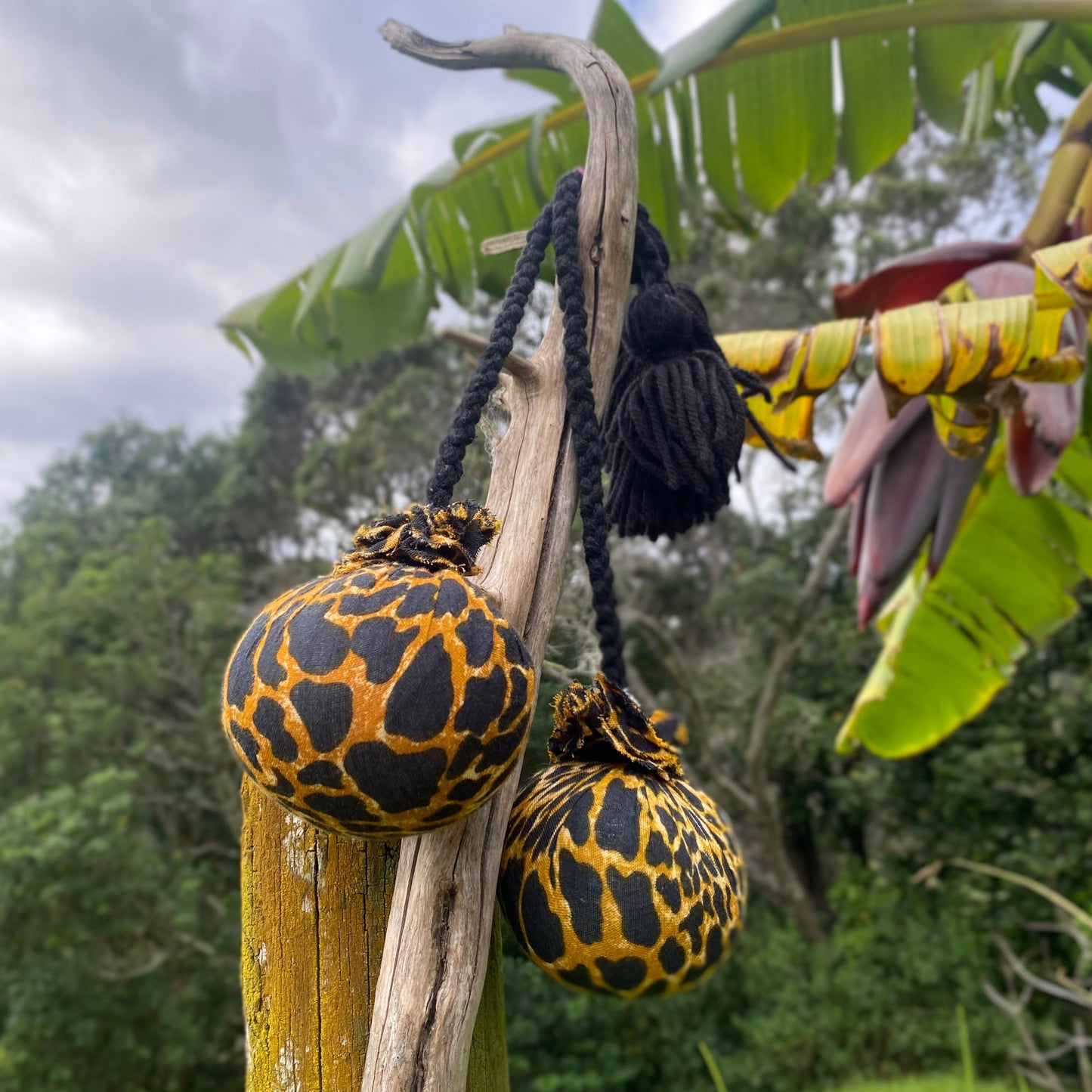 Animal Print Poi with Black Braided Cord